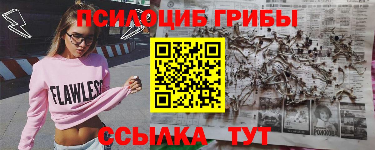 Кыштым  Псилоцибиновые грибы ЛСД  Псилоцибиновые грибы Magic Shrooms  Вход с VPN 
