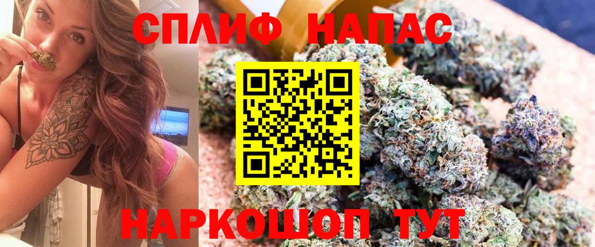 Бошки Шишки план Кыштым